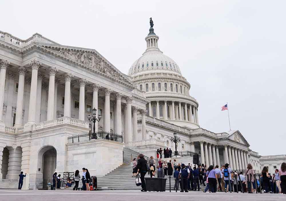 red latina periodico stl, red latina, cierre, senado